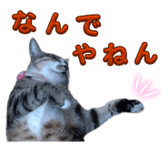 854801459