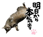 854801464