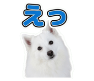 854801626