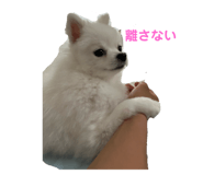 854802882
