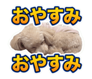 854803266