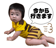 854803828