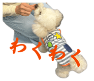 854804209