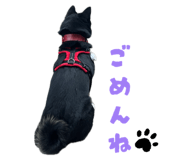 854804535