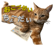 854804810