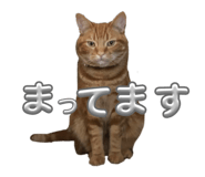 854804814