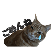 854804815