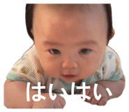 854806605