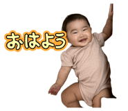 854806617