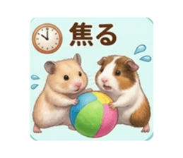 854807133