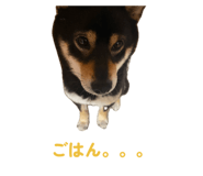 854807303