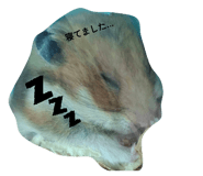 854807438