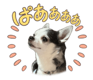 854809857