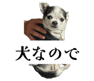 854809862