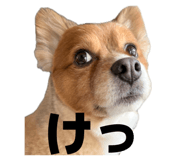 854810474
