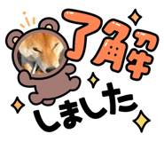 854810817