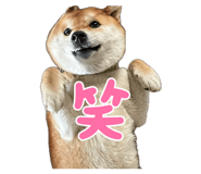 854810828
