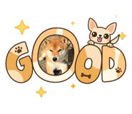 854810829