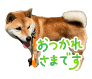854810846