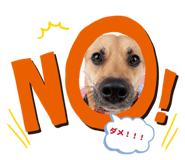 854811795