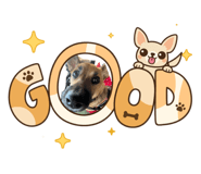 854811797