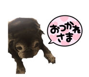 854812042