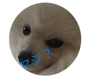 854812417