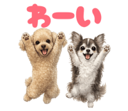 854812693