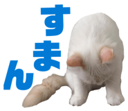 854832966