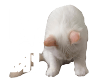 854832967