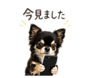 854833222
