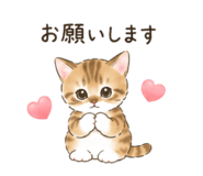 854833377