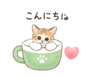 854833382