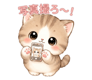 854834551