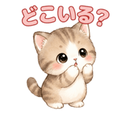854834554