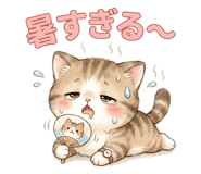 854834556