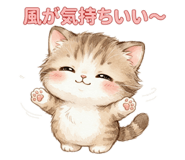 854834558