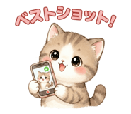 854834568