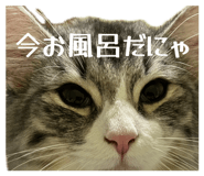 854835621