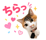 854838585