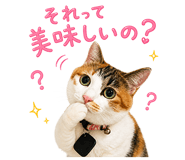 854838586