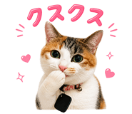 854838591