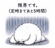 854865965