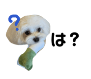 854867674