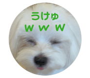 854867675