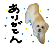 854867694
