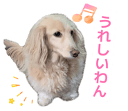 854868859