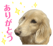 854868861