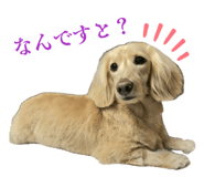854868869