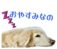 854868874